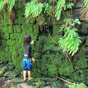 11755076_10153554114402125_1701661801158726627_n